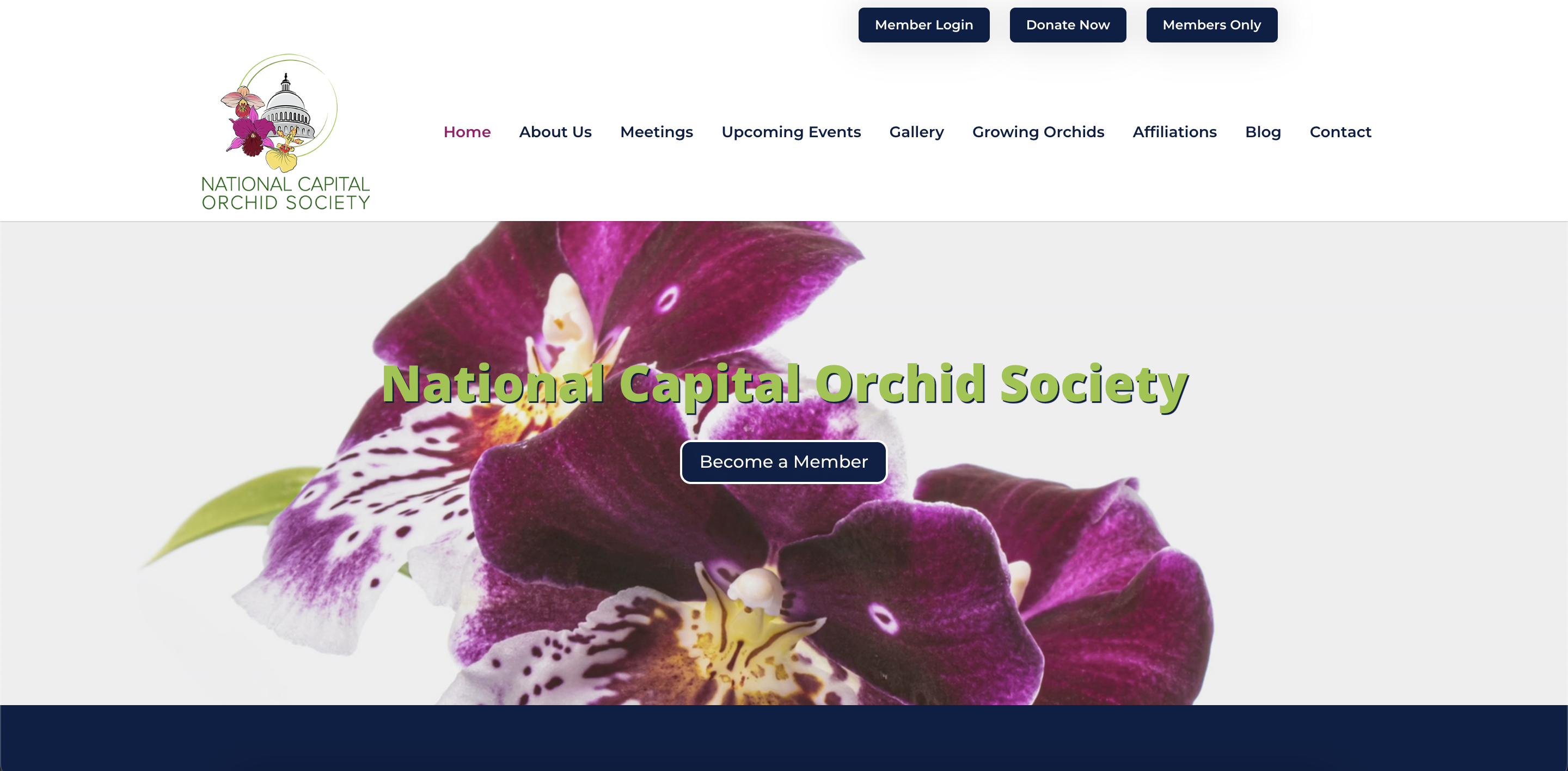 National Capital Orchid Socieity Website Homepage